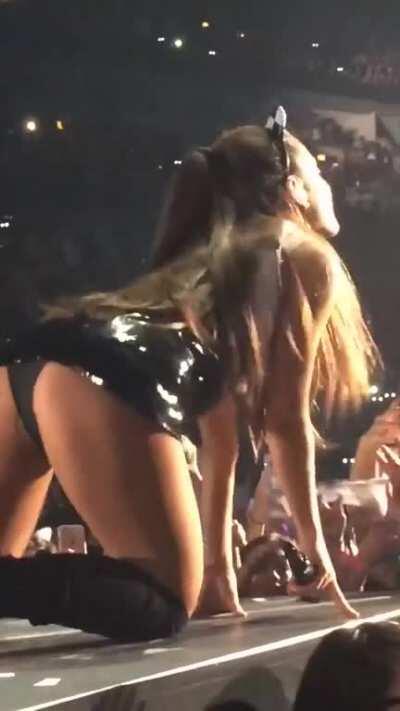 Ariana Grande on all fours like a good bitch