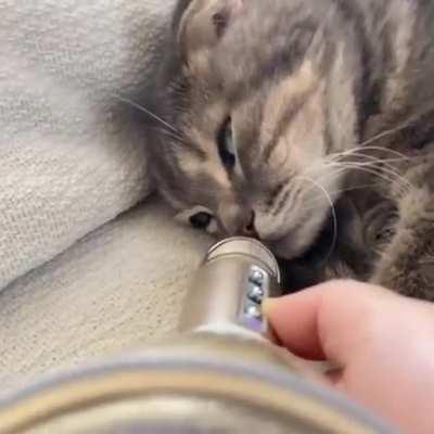 Anyone know where I can get a cat and this mic?