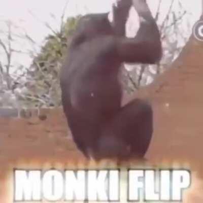 Monka Flip