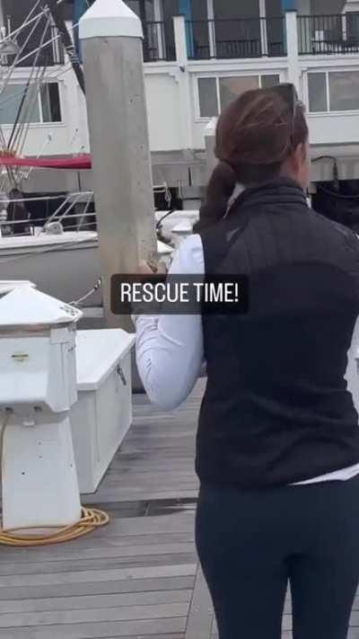 Meeting tiny warblers 50 miles offshore