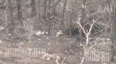 ukrainian soldier ends his own life on the battlefield