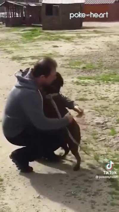 After being lost from his Dad for three years, you can see the second this sweet pup recognizes him.