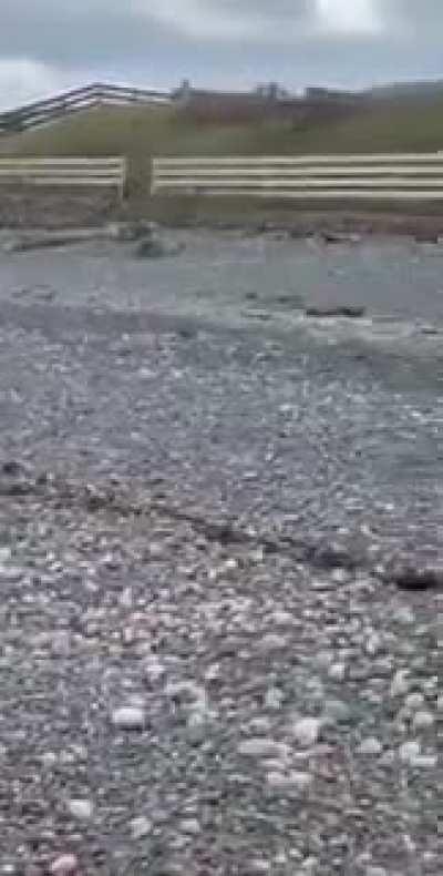 🔥 Rabbit emerges from the ocean