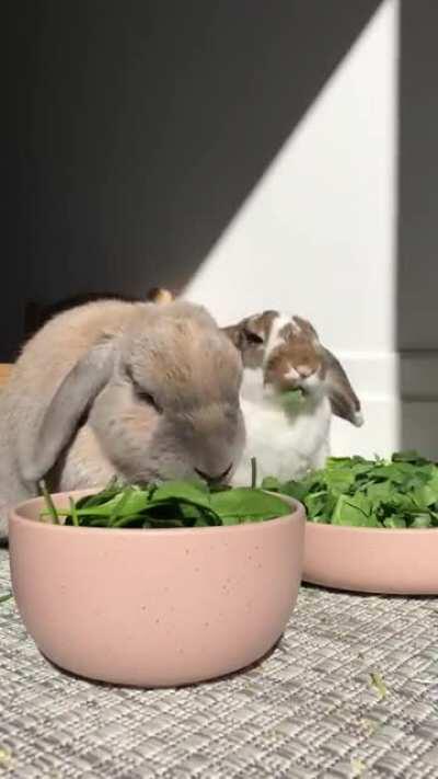 Good Monday Melbourne Morning from Honey and Sir Mocha Latte