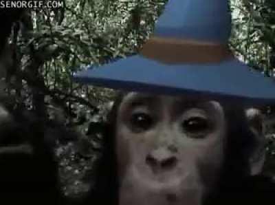 r/ape wizard wishes you HAPPY MONKEY MONDAY