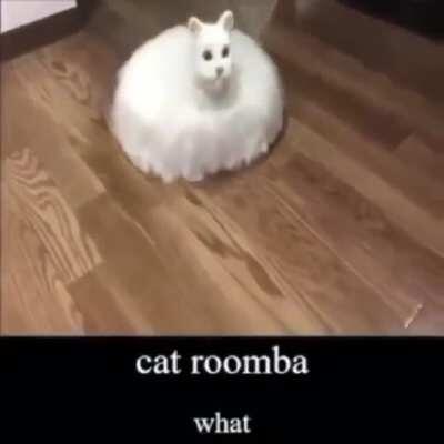 THATS IMPOSSBLE CAT ROOMBA ISNT REAL😡😡😡