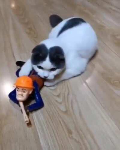 This cat playing with his army man toy