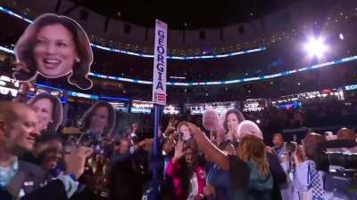 Georgia casts its vote in the DNC roll call