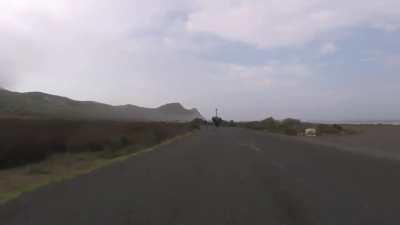 Cyclists chased by an ostrich