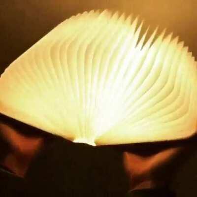 A book lamp