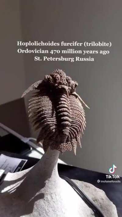 Ordovician