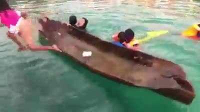 Young girl unswamping a canoe