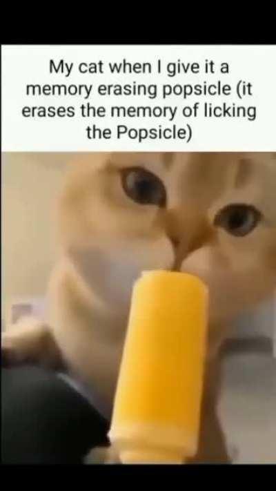 I need this popsicle and the cat 