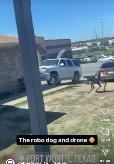 Cops in Texas