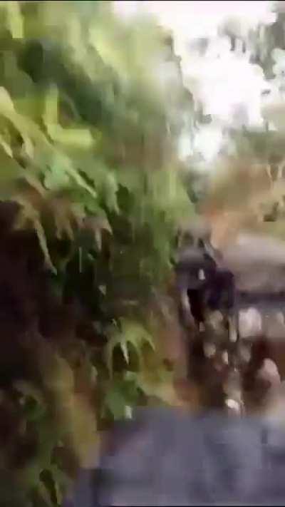 Reportedly footage of fighting on the Venezuela-Guyana border near a passage that goes across Brazil.