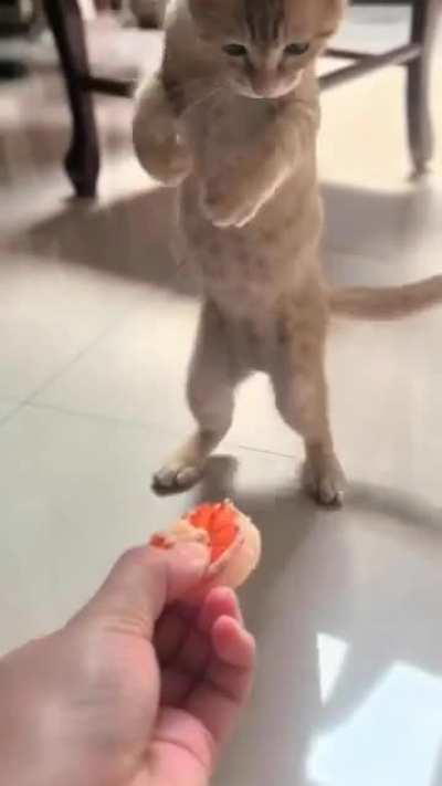 The child is very happy with the treats.