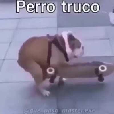 Simplemente Perro Truco