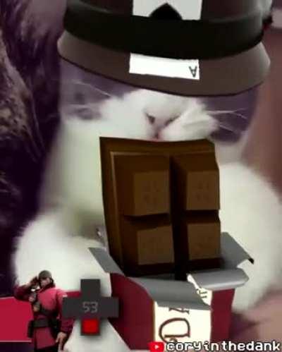 tf2 cat