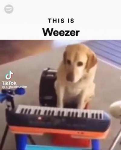 Proof that Sidney the Raditude dog is the only real Weezer member