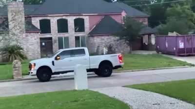 Police are called after reports of a tiger casually roaming a Texas neighborhood 