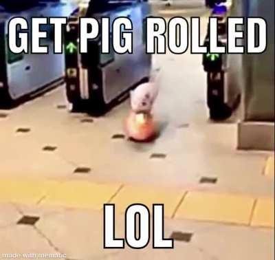 Stupid Pig gotted mee agen!!1!1