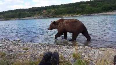 Alaska's McNeil River State Game Sanctuary and Refuge where you can safely sit with wild bears (more info in comments)