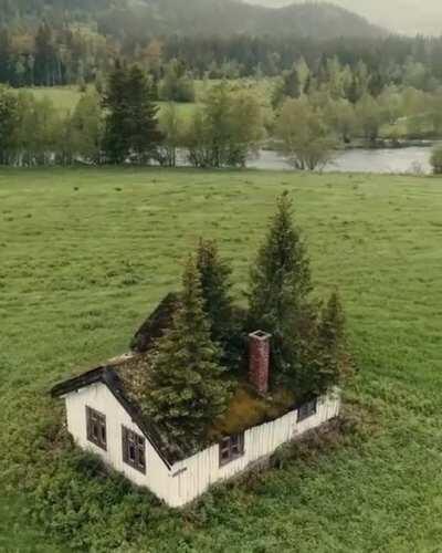 🔥 A beautiful, abandoned Norwegian cabin being reclaimed by nature 🔥