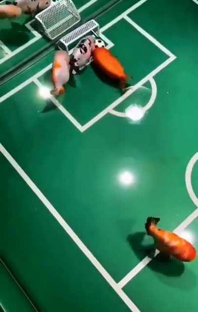 Uhhh... fish soccer?