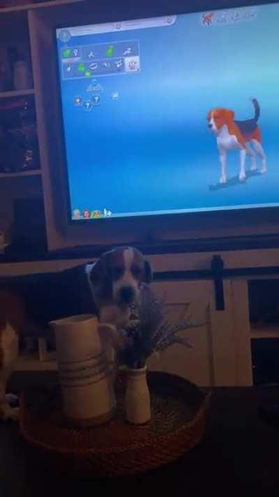 My dog while making her Sim