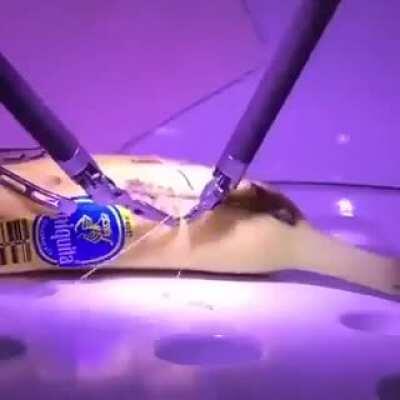 Remote + Robotic Surgery by a London based Surgeon on a Banana in California