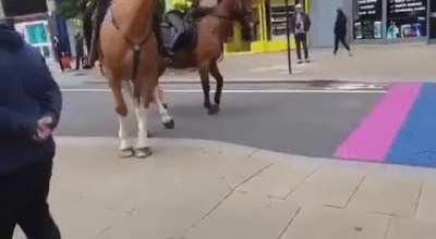 Today I learned that police horses are scared of rainbows