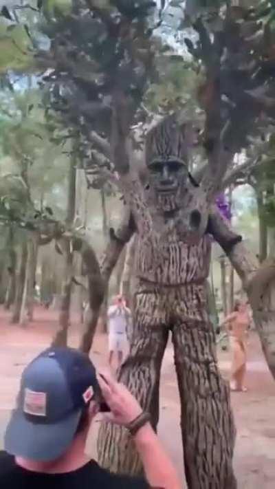 This amazing tree costume