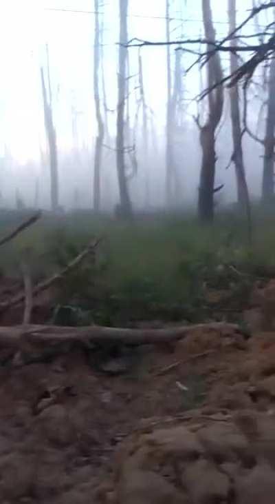 Colombian volunteer in gas mask states the Russian Military are now allegedly using chemical weapons in Ukrainian soil. He says regardless he is well equipped for this - Kreminna forest 