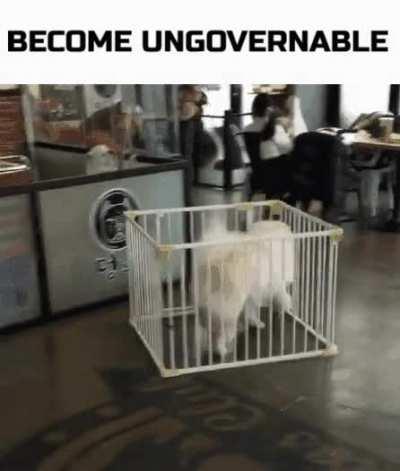 Become un(rule)able