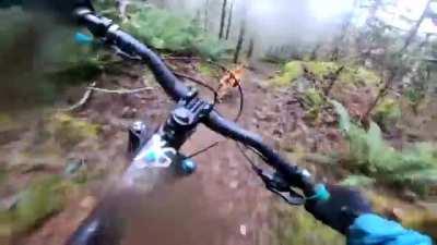 POV of a trail dog absolutely smoking it down a mountain