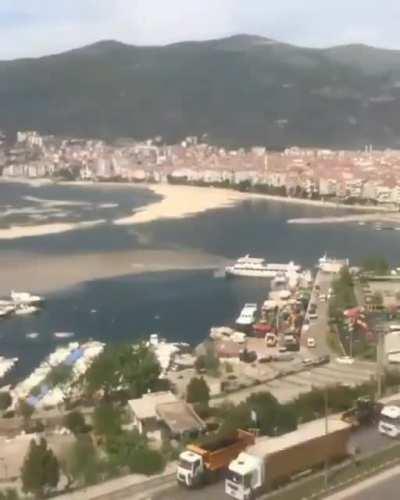 Harrowing time-lapse video shows 'sea snot' invading Marmara Sea
