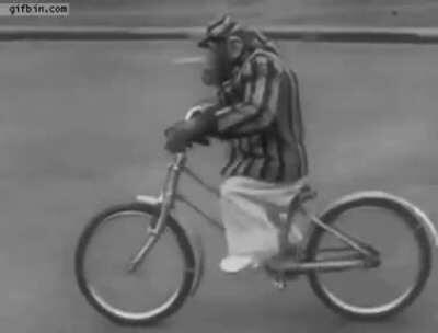 🔥 This talented ape taught himself how to ride a bike! We primates are not so different...