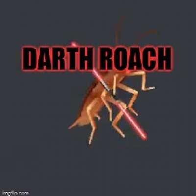 dancingroachgang