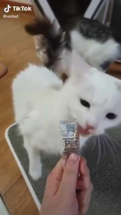 The Cat That Got the Cream