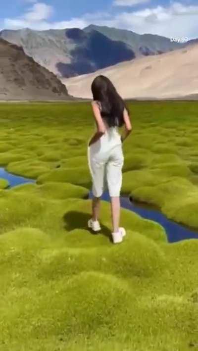 🔥 Moss mounds in geothermal belt of Puga valley, Ladakh, India