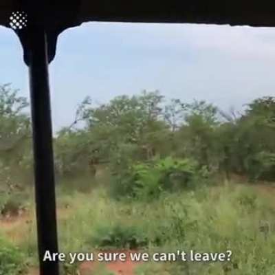 Park ranger gets game drive out of a serious situation