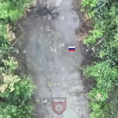 Ukrainian National Police &quot;Lyut&quot; Brigade's &quot;Safari&quot; Regiment UAV team used munition drops to target Russian infantry on the move, as well as hostile infantry positions in a building using a thermite drop. Published October 28, 2024