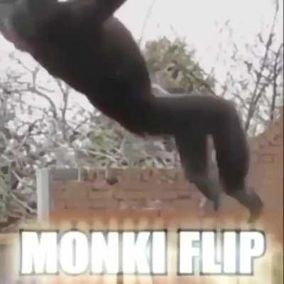 monkey flip