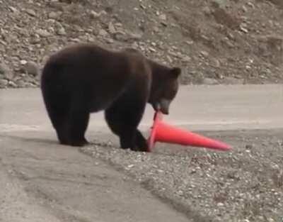 Thanks for keeping the roads safer Mr. Bear!