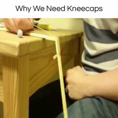 Why we need kneecaps