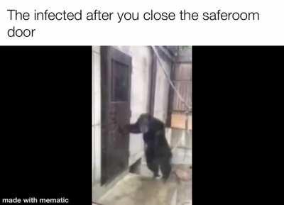 monkey infected