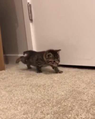 The littlest attack