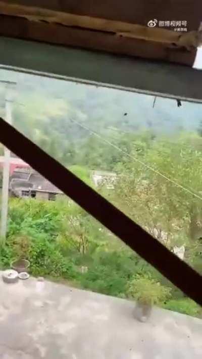 Man protecting his bees from wasp attacks 