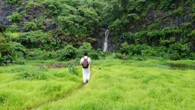 Felt like Jurassic Park the 1st time I entered here. Location: Near Gaimukh, Thane.