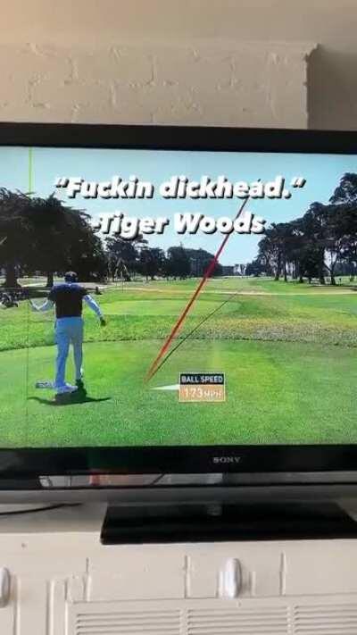 “Fuckin dickhead.” -Tiger Woods